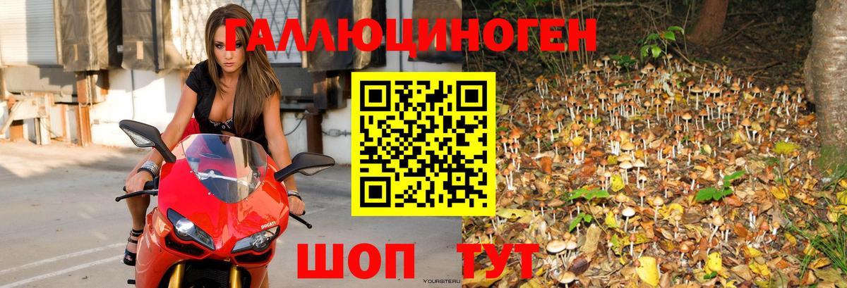 Галлюциногенные грибы Magic Shrooms  Вход с VPN  Оренбург 