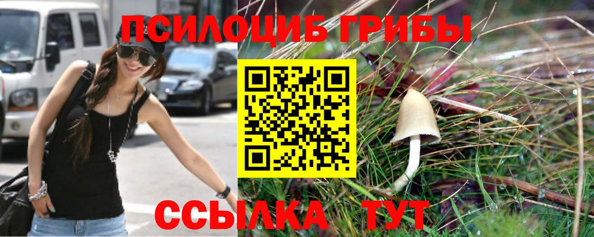 Псилоцибиновые грибы мухоморы Оренбург